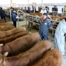 한우전자 이미지