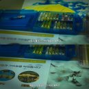 퍼스트글로리