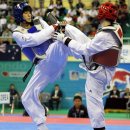 한국태권도체육관 이미지