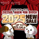 회원동146 | 창원 마산 회원동 애견샵, 펫샵 펫마트 마산점 분양추천! 믿을 수 있는 업체소개