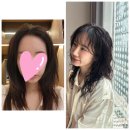 문화의거리점 단우 디자이너의 '결이 다른' 빈티지펌 체험기 (feat. 신기방기 두피 진단부터 리얼 후기!)