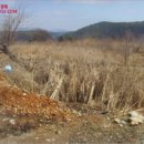 삼부리 이미지