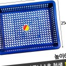 일신문구 이미지