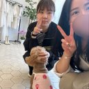 리헤브 이미지