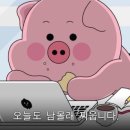 행복밀