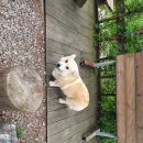 노루목 펜션 이미지