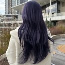 구미미용실 이비스헤어 금리단길점 재언 디자이너의 청보라 염색 후기!