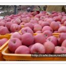 김미숙농장 이미지