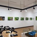 강원도자연환경연구공원 이미지