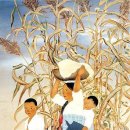 Roman De Mareu Orchestra / 물방아의 추억 이미지