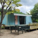 하방소 포레스트 이미지