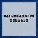 청주지웰동물병원 네이버블로그
