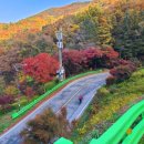 쌍용교 - 춘천시 | 221029 속리산둘레길 단풍투어
