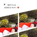 보람농수산물