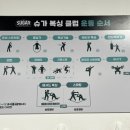 슈가복싱 이미지