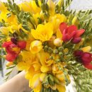 올래농장 이미지