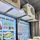 청정산오징어회