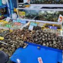 주문진해변관광지 이미지