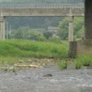 아낙사우나 이미지