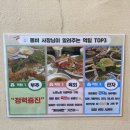 당감식육 이미지