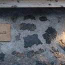 스테이미엔느 이미지