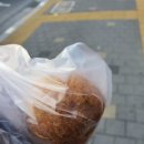 윤혜정베이커리