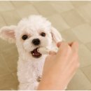 청량리 슬기 동물병원 이미지