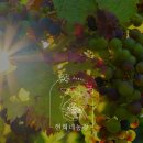 현희농장 이미지