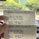 홍천 오션월드 비발디파크 썸머에디션 이용후기 할인 가성비 꿀팁