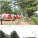 포천자연마을 서울캠핑장 이미지