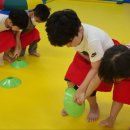 아이스포렉스 이미지