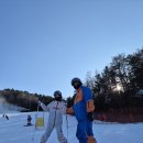 알펜시아 리조트 스키장 어린이 스키강습 후기