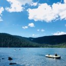 포레스트문 이미지