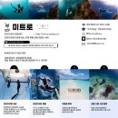 4486 | 인생 첫 프리다이빙 창원프리다이빙 미트로프리다이빙 후기 🤿