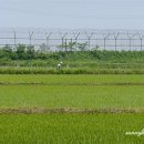 운천2리 이미지