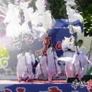 신안 흑산 홍어 축제 이미지