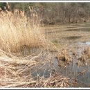 동막동(5) 이미지