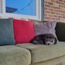 빨간지붕 루이네 집 이미지