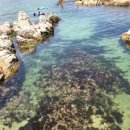 장호항바다랑 펜션 이미지