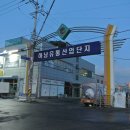 박강 묘역 및 석물 이미지