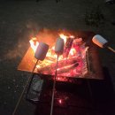 260630 대통령, 이재용·최태원에 돌발 '90도 인사' 이미지