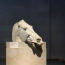 로제타안경 이미지