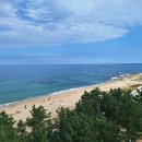 바다정원 이미지