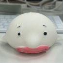 [군산] 2박3일 뚜벅이 여행 코스 총정리 (+선유도바다,초원사진관테마,네컷사진,이성당)
