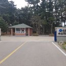 인천수산 네이버블로그