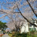 호근경로당 이미지