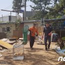 사하구-22 이미지