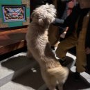 해 스테이 | [용인 법륜사] 템플스테이 1박 2일 체험형 후기 (준비물)