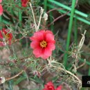 (주)모모스 이미지