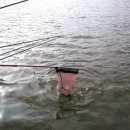 고골낚시터 이미지